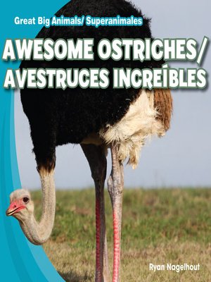 cover image of Awesome Ostriches / Avestruces increíbles